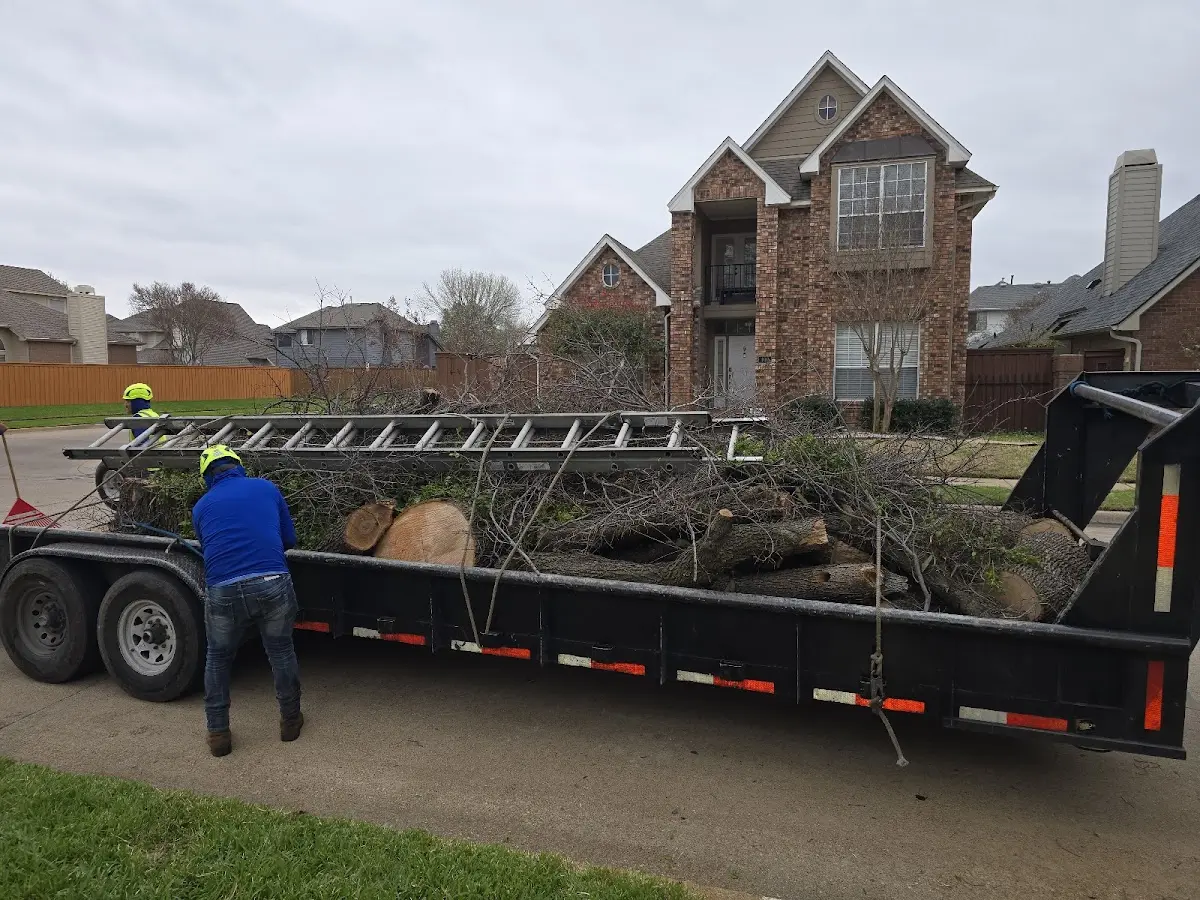 Expert Lot Clearing with proper safety equipment in Levels